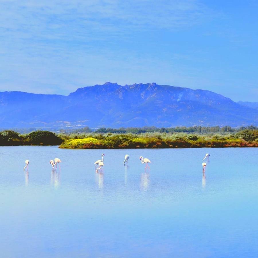 Sa Caladroxa Villa Villa San Pietro Dış mekan fotoğraf