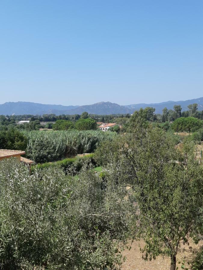 Sa Caladroxa Villa Villa San Pietro Dış mekan fotoğraf